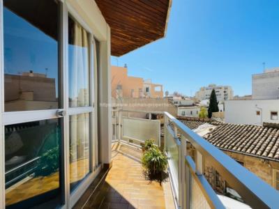 Sunny and quiet apartment all exterior in Son Españolet