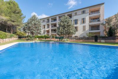 Great apartment with terrace and pool in Sa Teulera